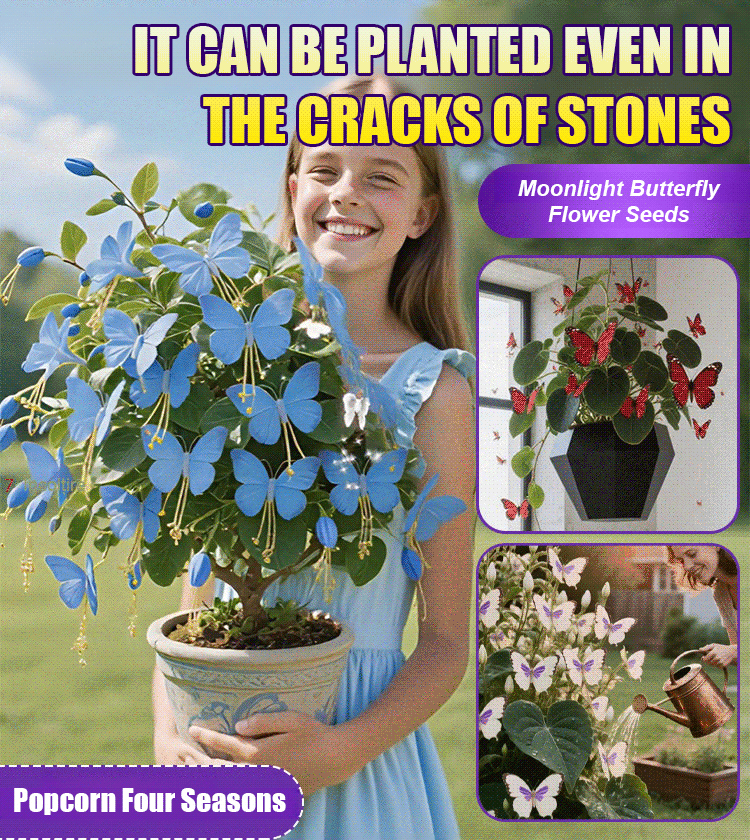 【🌸Buy 1 Get 1 Free】Moonlight Butterfly Flower Seeds! Exquisite flower shape and vibrant colors, cold-hardy and drought-resistant, blooms year-round, free shipping to your door