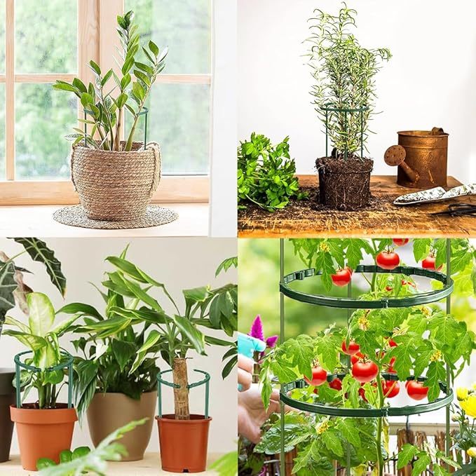 Tomaten Rankhilfe, 141 PCS Gurken Rankhilfe Mit Verstellbarer Höhe, Tomatenkäfig, Pflanzenstütze, Tomatenturm, Gurkenturm Rankhilfe, Rankgitter für Tomaten, Gurken,Blumen,Pflanzen,Garten