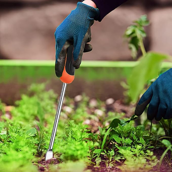 Fugenkratzer Unkrautstecher 2-tlg., Garten Handjätgerät mit Griff, Manueller Weeder Edelstahl mit gezackter Kante für Entfernen von Moos und Unkraut in Plattenfugen