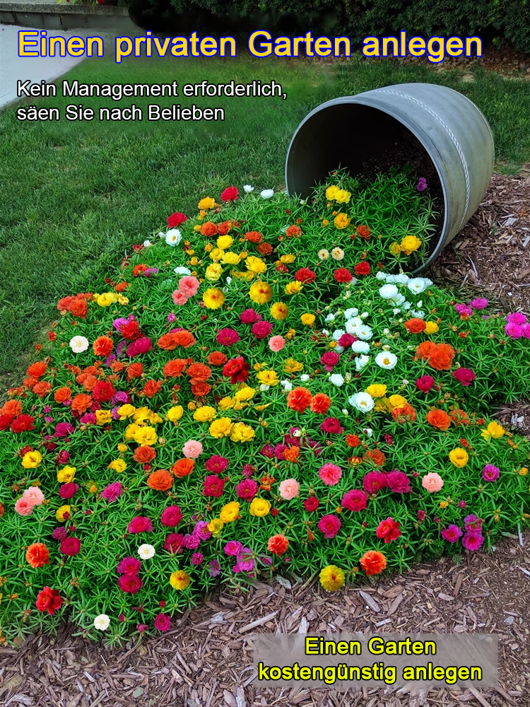 [Heilung von Geist und Körper] Der Garten ist voller doppelblättriger Sonnenblumenkerne.