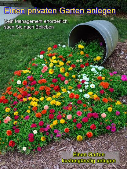 [Heilung von Geist und Körper] Der Garten ist voller doppelblättriger Sonnenblumenkerne.