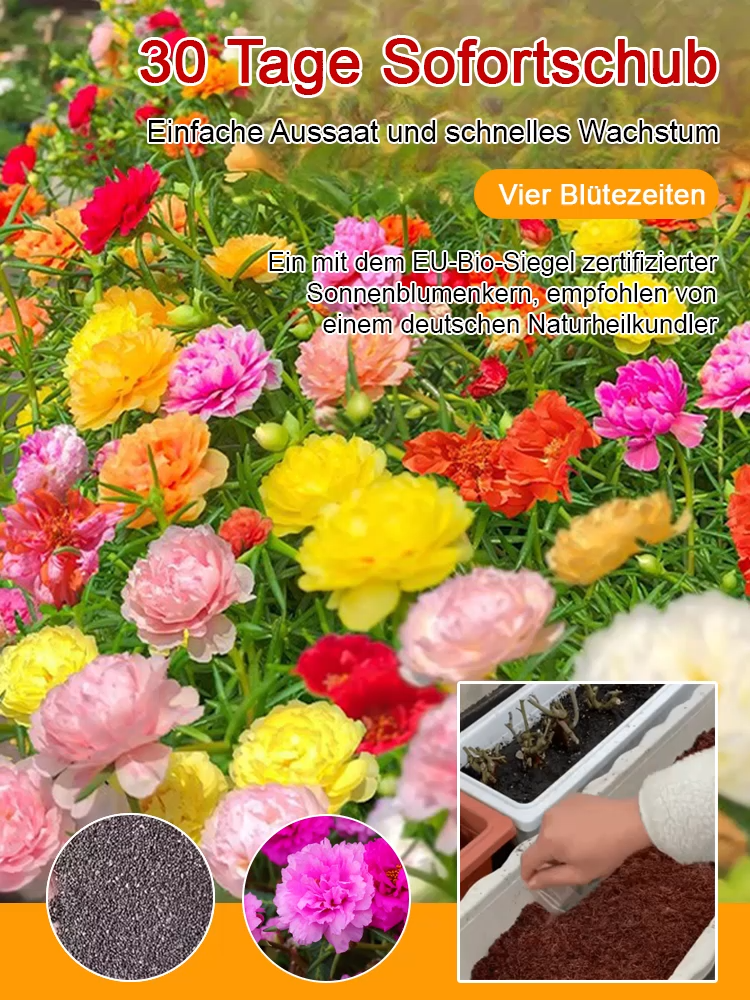 [Heilung von Geist und Körper] Der Garten ist voller doppelblättriger Sonnenblumenkerne.