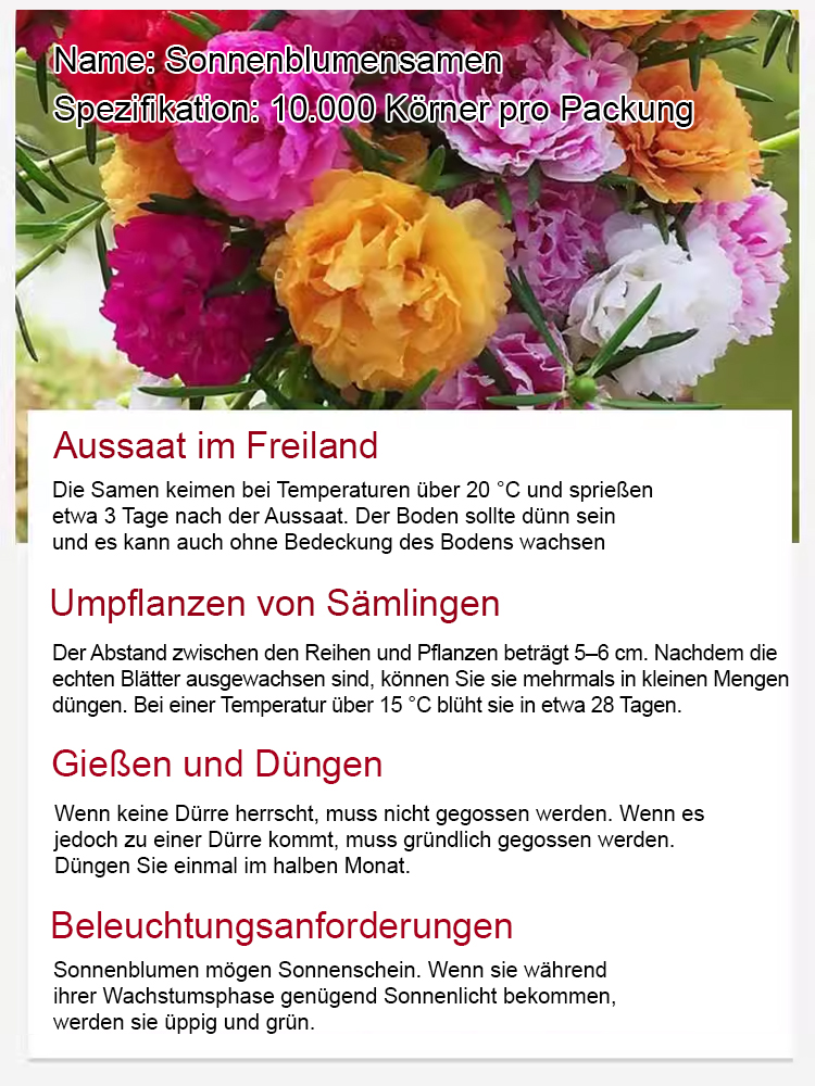 [Heilung von Geist und Körper] Der Garten ist voller doppelblättriger Sonnenblumenkerne.