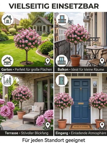 Lisianthus Lollipop-Baum | Ganzjährige Blütenpracht