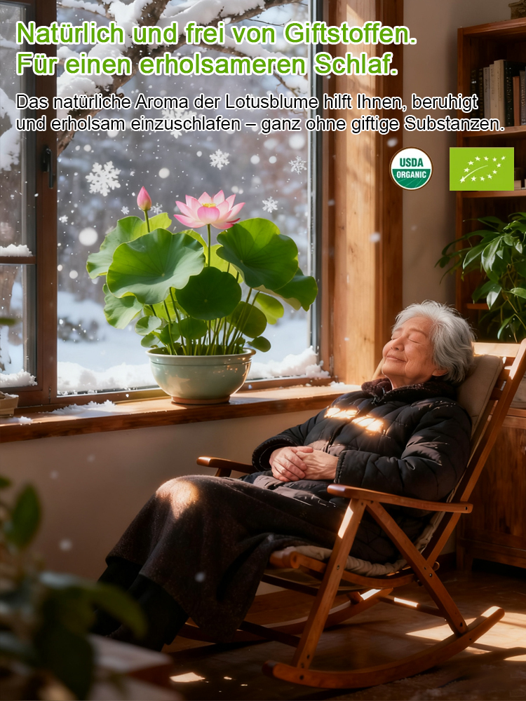 【Eine Pflanze reinigt 80 m² Wohnraum】Pflegeleicht und einfach anzupflanzen: Übersteht Temperaturen bis -30 °C, einen Monat lang kein Gießen nötig