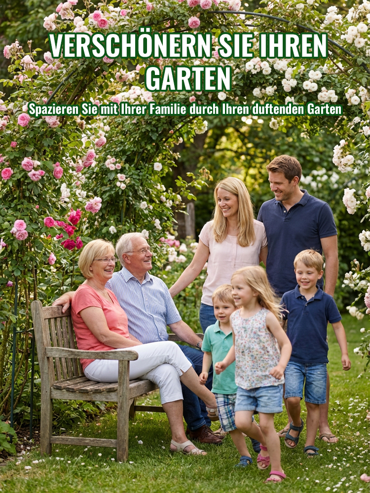 Immerblühende Kletterrosenpflanze für alle Jahreszeiten