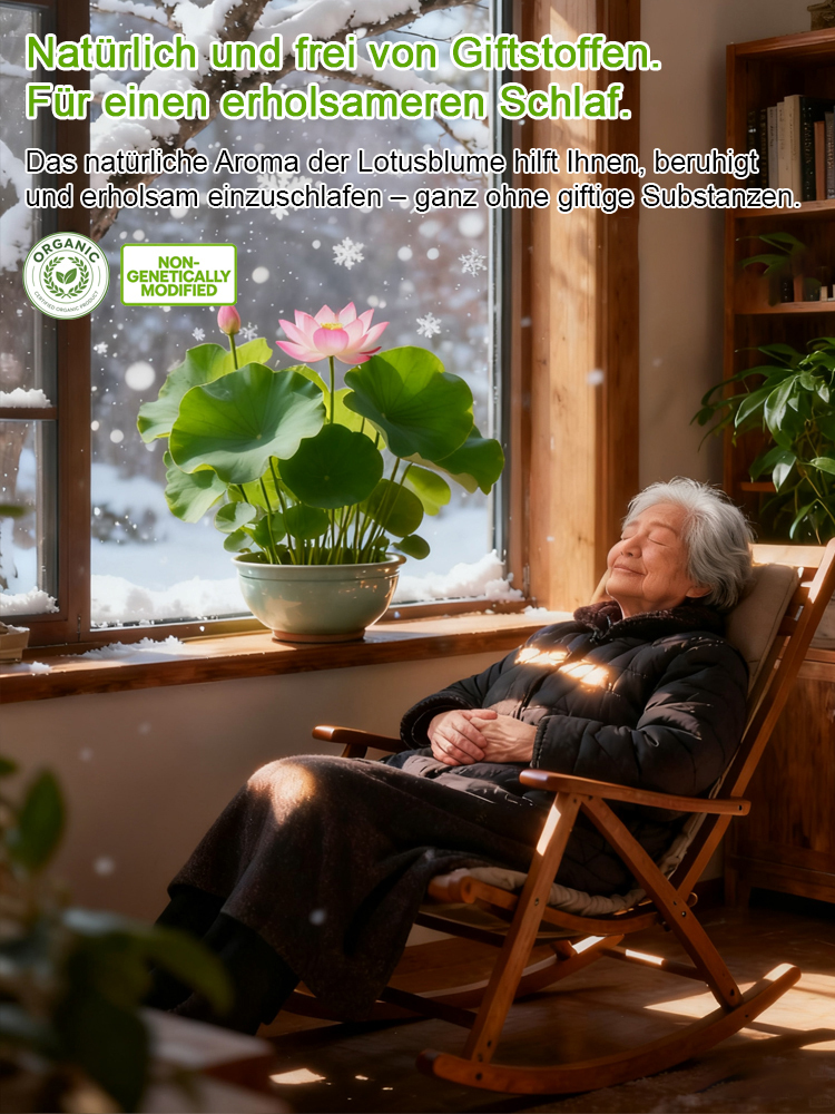 Natürlicher Luftreiniger & Raumduft: Hydrokultur-Schalenlotus mit Jasmin- und Lavendelduft – wächst nur mit Wasser, völlig pflegefrei