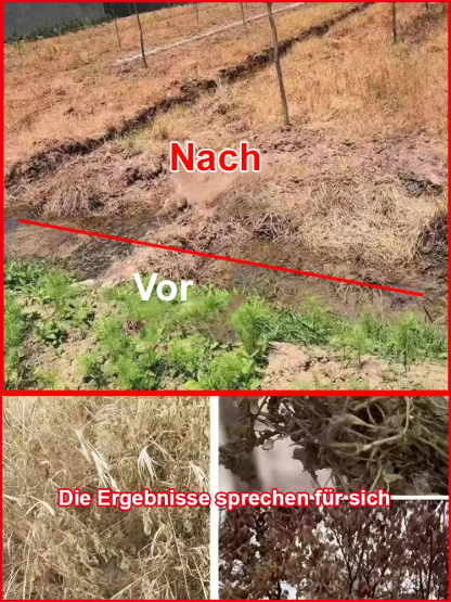 BVL-zertifiziertes Profi-Unkrautvernichtungsmittel – 2 Jahre Langzeitschutz, zerstört Unkraut von der Wurzel an (entwickelt in Bayern)