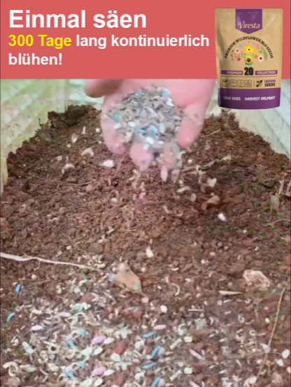 【Über 240.000 Menschen haben bereits gekauft】Einfach zu züchtende gemischte Blumensamen, 🌸50 Premium-Sorten, Keimt in 7Tagen, blüht in 30 Tagen. 🌿