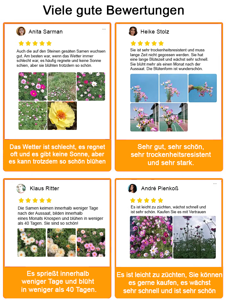 [Heilung von Geist und Körper] Der Garten ist voller doppelblättriger Sonnenblumenkerne.