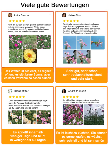 [Heilung von Geist und Körper] Der Garten ist voller doppelblättriger Sonnenblumenkerne.