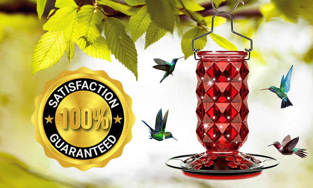 💥2025 Latest Model💥 Breeze Diamond Hummingbirds Feeder