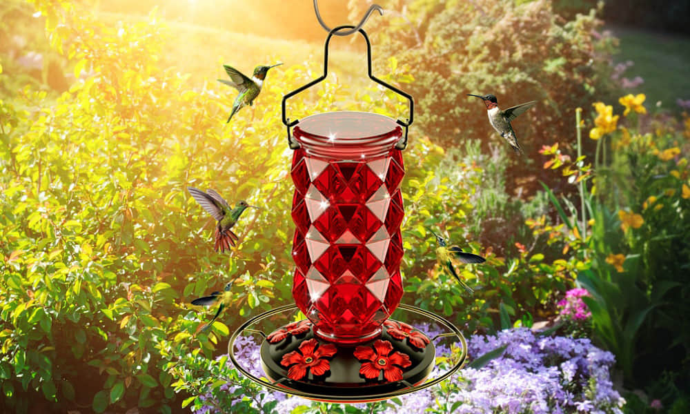 💥2025 Latest Model💥 Breeze Diamond Hummingbirds Feeder