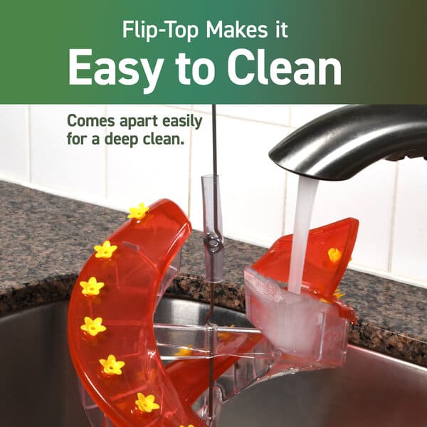 💥2023 Latest Model-Pre-sale💥DNA Helix Hummingbird Feeder