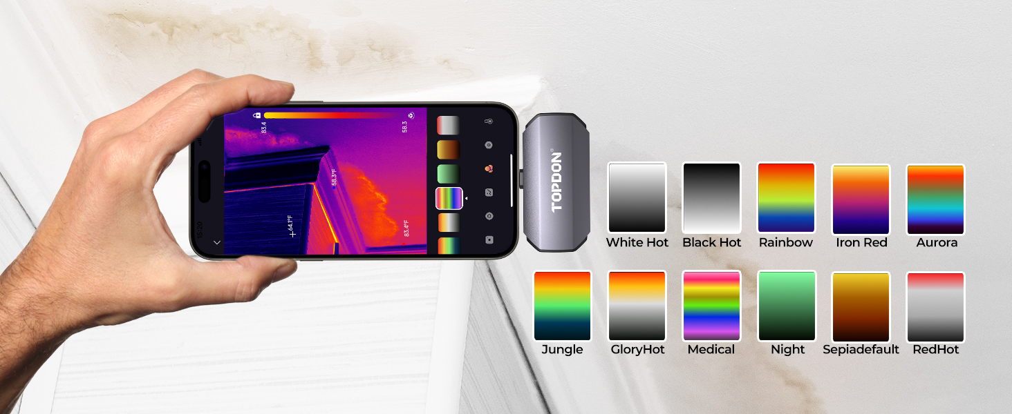Color Palettes