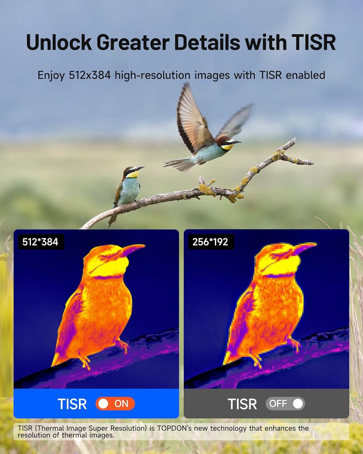 TOPDON TC001 Thermal Camera