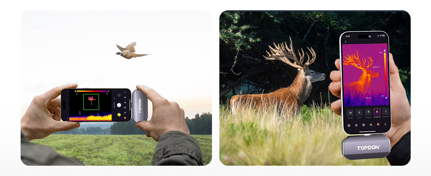 Animal Observation