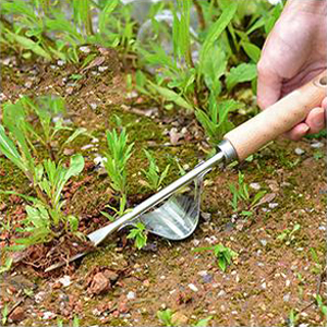 Ideal for Gardening Enthusiasts