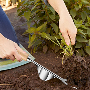 Effortless and Efficient