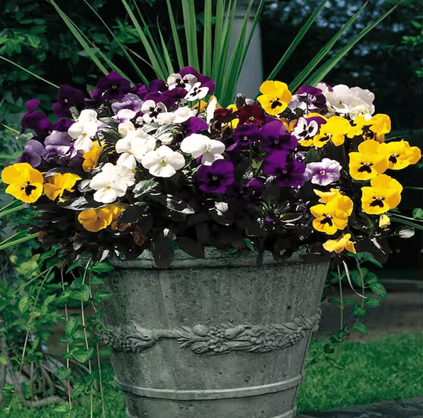 💖Hot Sale 70% OFF-Outdoor Artificial Pansy Flowers💐