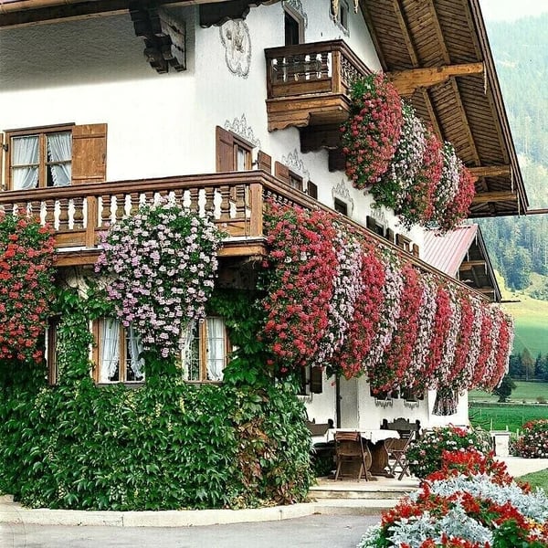 🔥LAST DAY 70% OFF🌺Vivid Artificial Hanging Orchid Bunch🌷