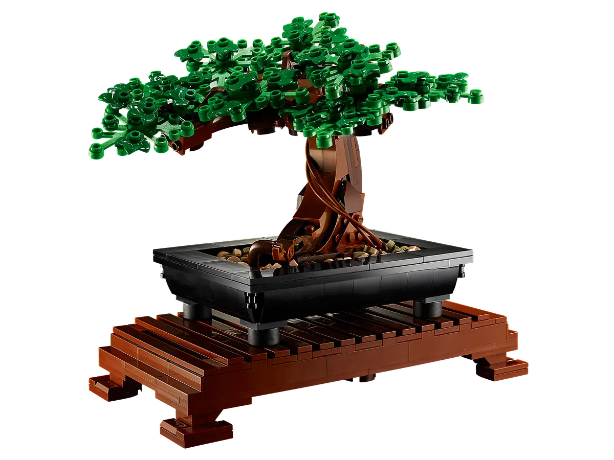 Bonsai Tree