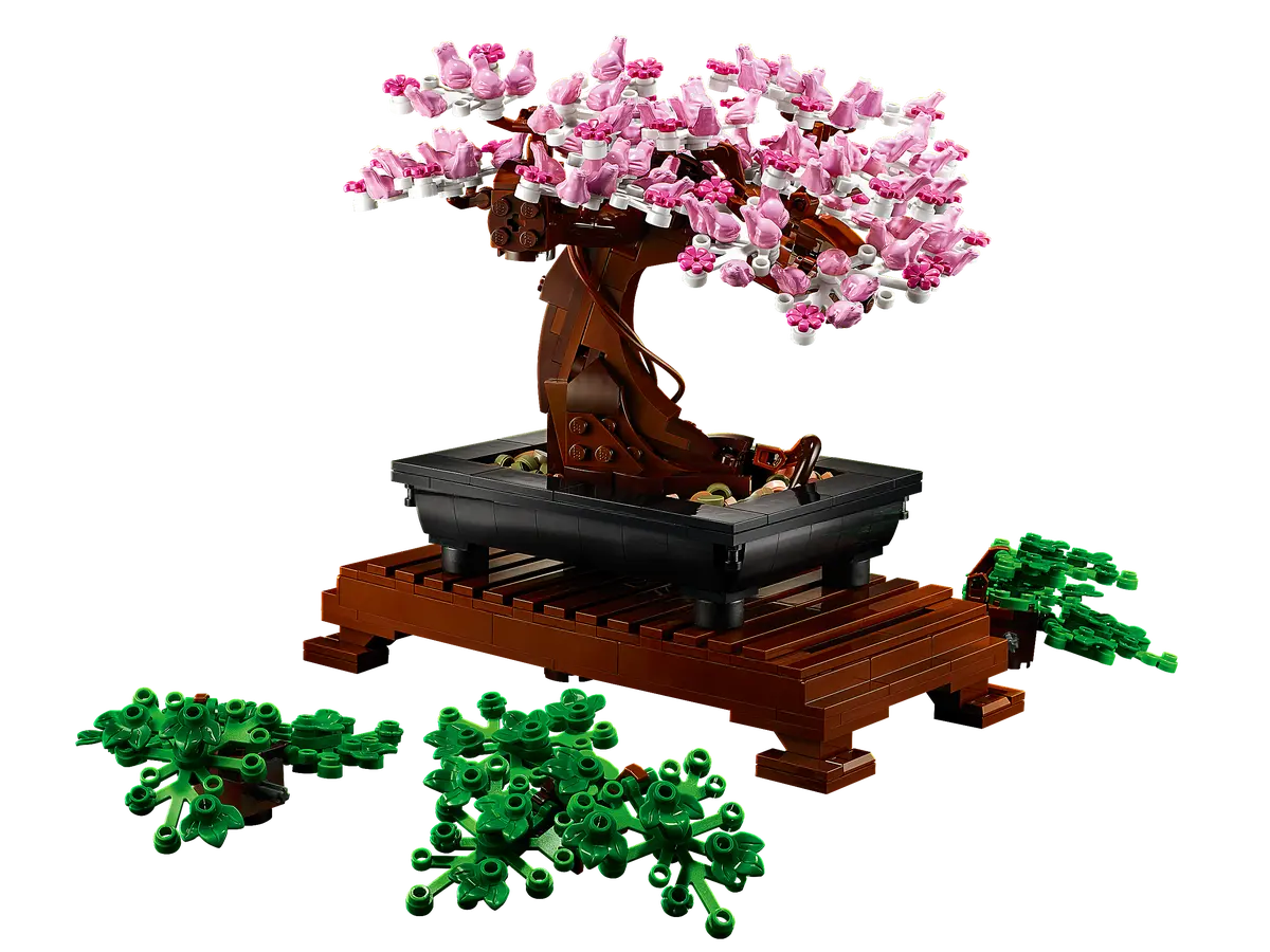 Bonsai Tree