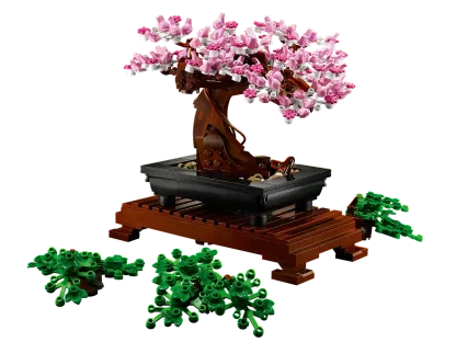 Bonsai Tree