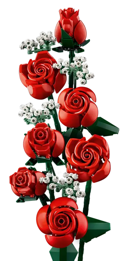 Bouquet of Roses