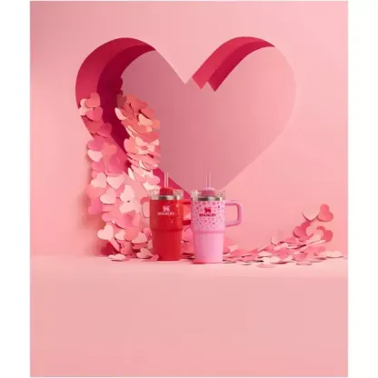 The Stanley 20 oz Stainless Steel H2.0 Flowstate Quencher Tumbler - Valentine's Day