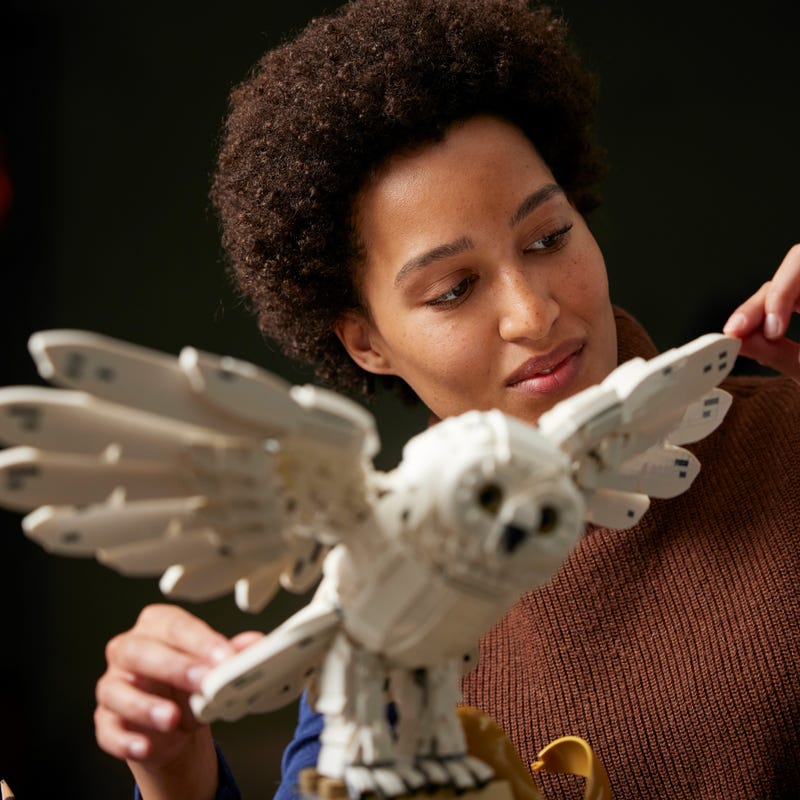 Hogwarts™ Icons - Collectors' Edition