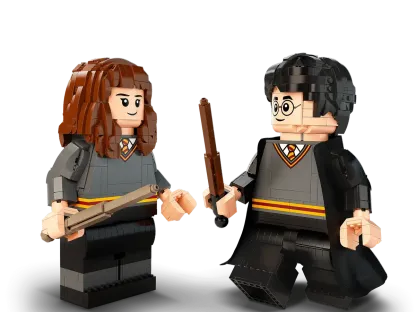 Harry Potter and Hermione Granger™