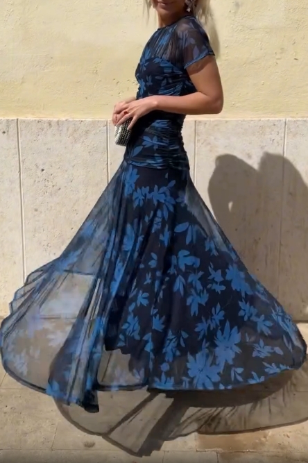 Whispering Elegance Mesh Dress