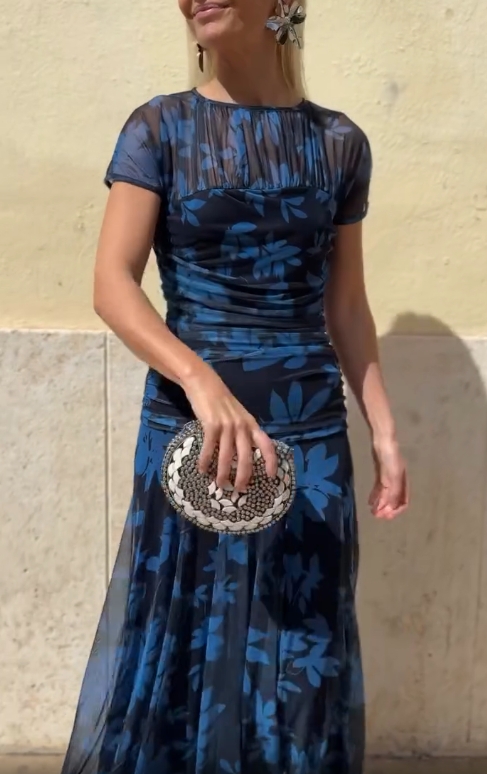 Whispering Elegance Mesh Dress