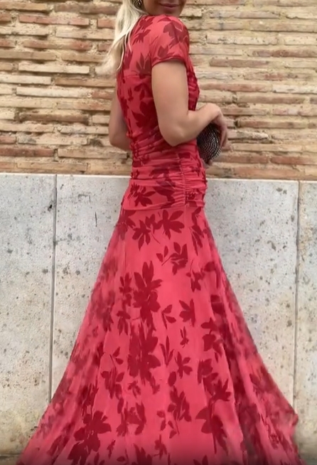 Red Whispering Elegance Mesh Dress