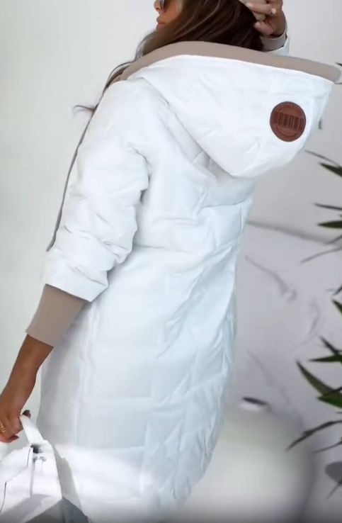 Quilted Puffer Jacket with Drawstring Hood