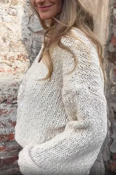 Embellished V - Neck Knit Sweater