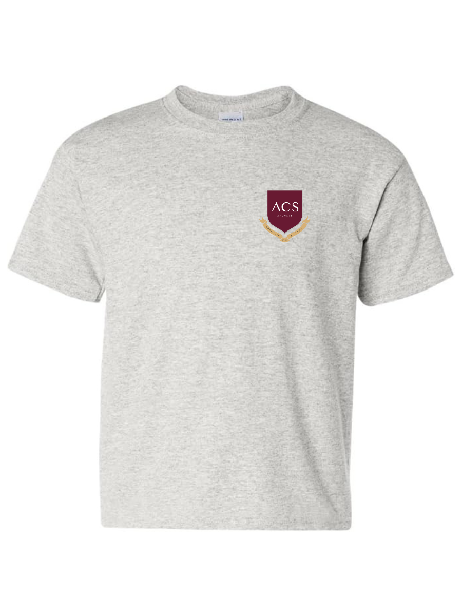 Gray Blue T-Shirt - ACS