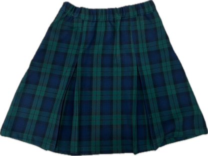 Simple Pleat Skirt - Navy/Green Plaid