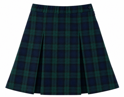 Simple Pleat Skirt - Navy/Green Plaid