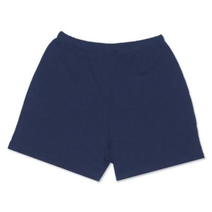 Modesty Shorts