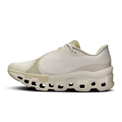 Cloudmonster 2 PAF