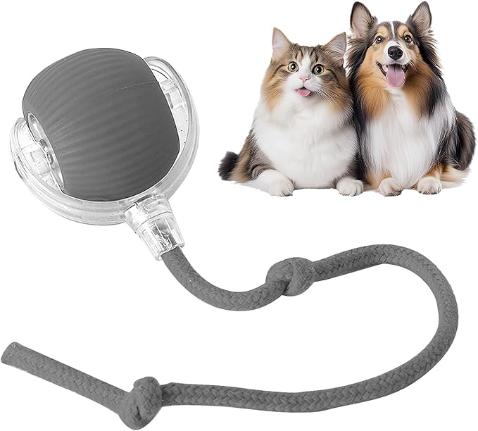 RolliePet smart chase pet toy ball