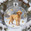 Golden Retriever Poodle