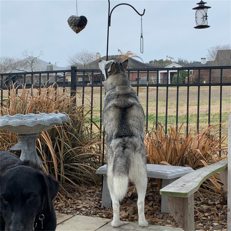 🔥LAST DAY 49% OFF - 🕊️🏡Handmade Natural Alpaca Fiber Bird Nesting Heart❤️A Cozy Gift for Birds
