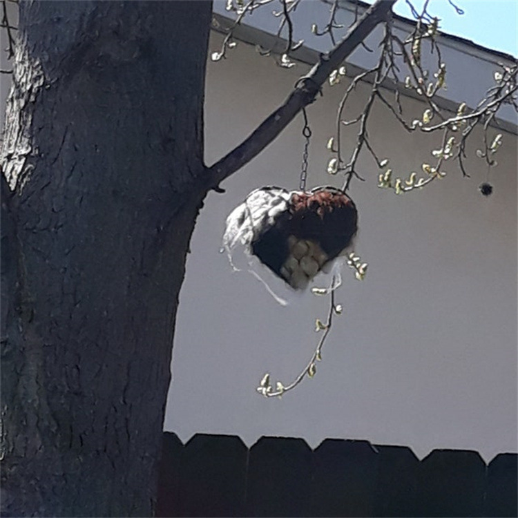 🔥LAST DAY 49% OFF - 🕊️🏡Handmade Natural Alpaca Fiber Bird Nesting Heart❤️A Cozy Gift for Birds