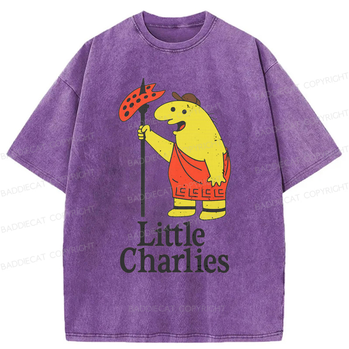 Baddiecat Little Charlie's Funny Meme Washed T-shirt