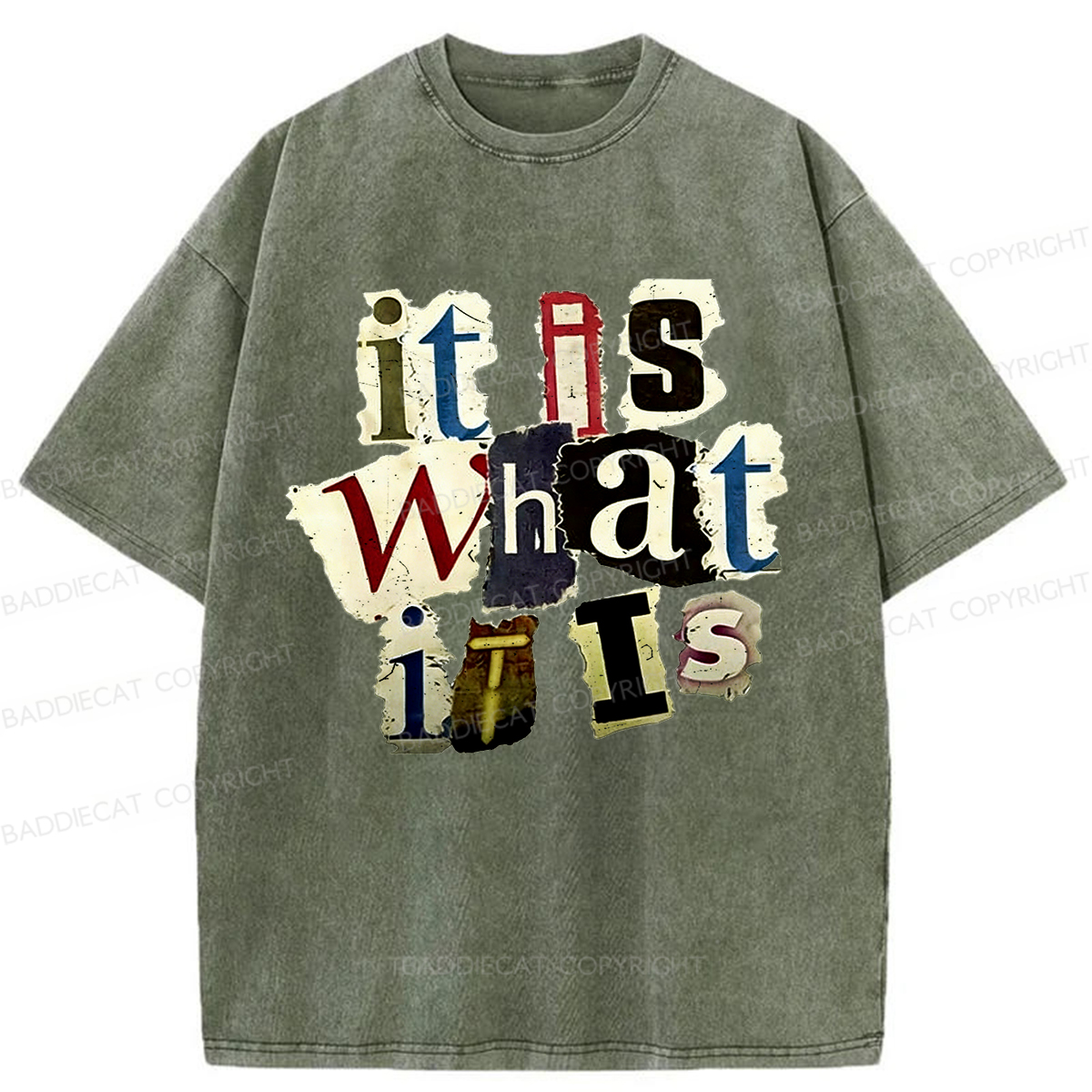 Baddiecat It Is What It Is Washed T-shirt