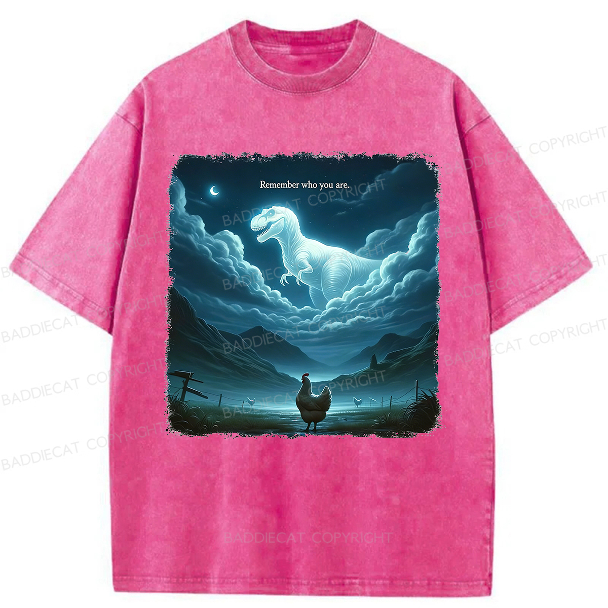 Baddiecat Remember Who You Are Washed T-shirt