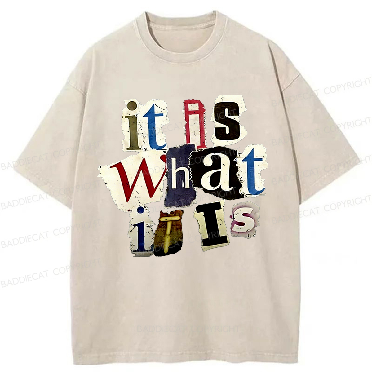 Baddiecat It Is What It Is Washed T-shirt